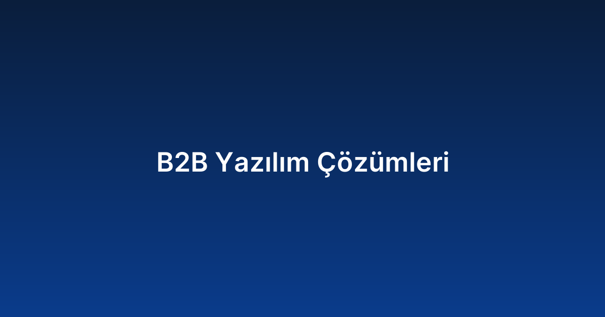 B2B Yazılım Çözümleri