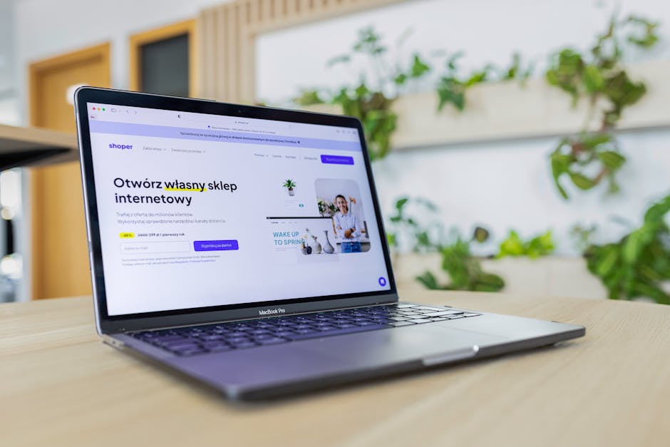 E-İhracat Yazılım Çözümleri