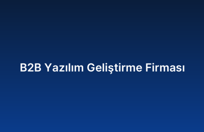 B2B Yazılım Geliştirme Firması