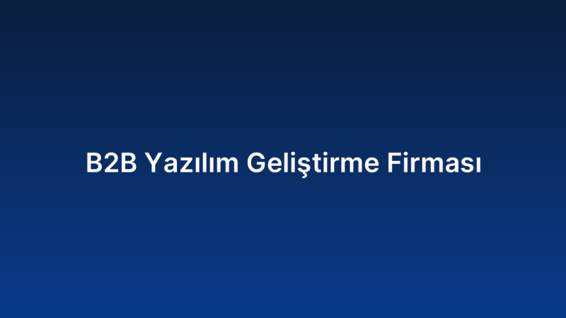 B2B Yazılım Geliştirme Firması