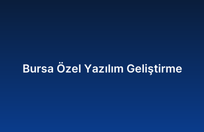 Bursa Özel Yazılım Geliştirme