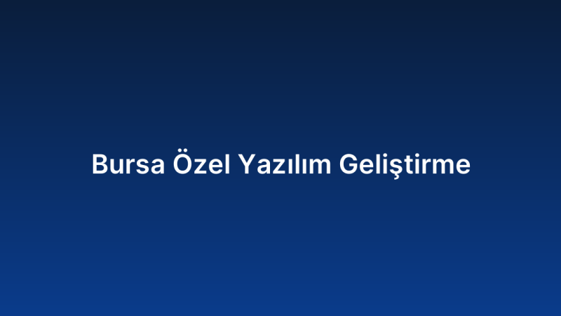 Bursa Özel Yazılım Geliştirme