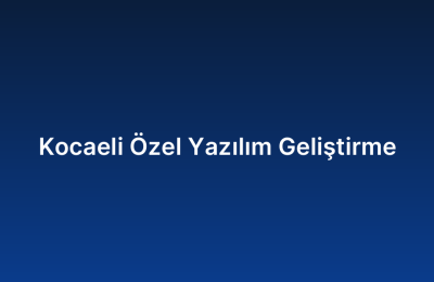 Kocaeli Özel Yazılım Geliştirme