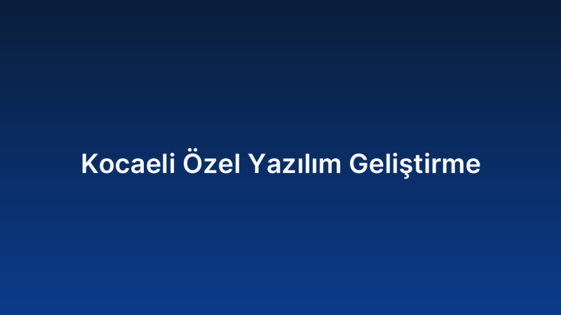Kocaeli Özel Yazılım Geliştirme