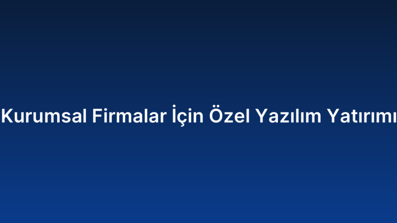 Kurumsal Firmalar İçin Özel Yazılım Yatırımı