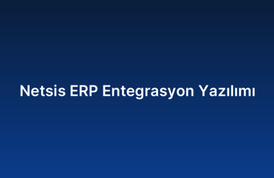 Netsis ERP Entegrasyon Yazılımı