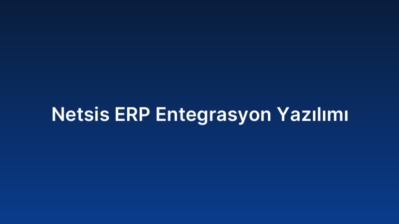 Netsis ERP Entegrasyon Yazılımı