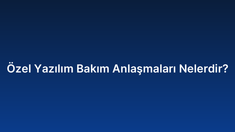 Özel Yazılım Bakım Anlaşmaları Nelerdir?