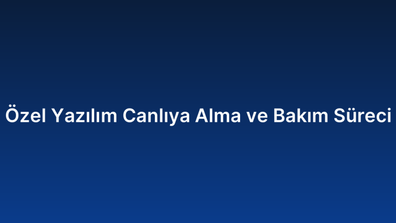 Özel Yazılım Canlıya Alma ve Bakım Süreci