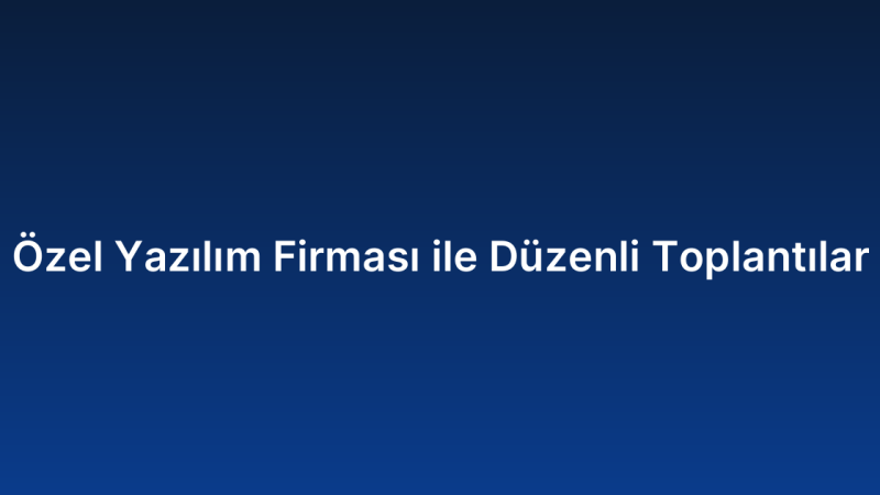 Özel Yazılım Firması ile Düzenli Toplantılar