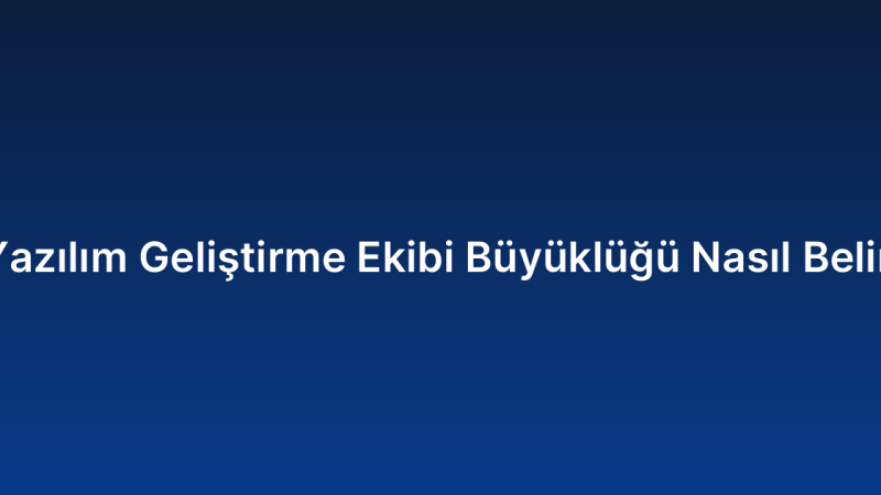 Özel Yazılım Geliştirme Ekibi Büyüklüğü Nasıl Belirlenir?