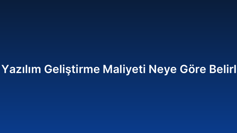 Özel Yazılım Geliştirme Maliyeti Neye Göre Belirlenir?