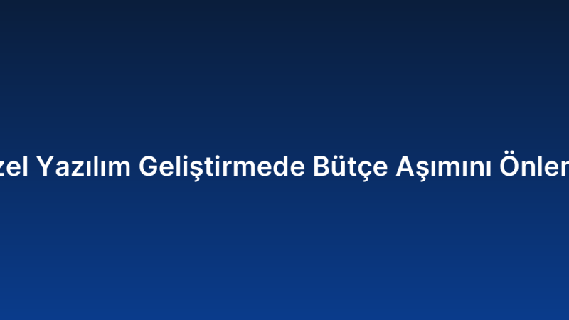 Özel Yazılım Geliştirmede Bütçe Aşımını Önleme