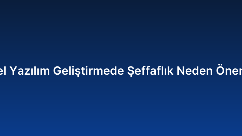 Özel Yazılım Geliştirmede Şeffaflık Neden Önemli?