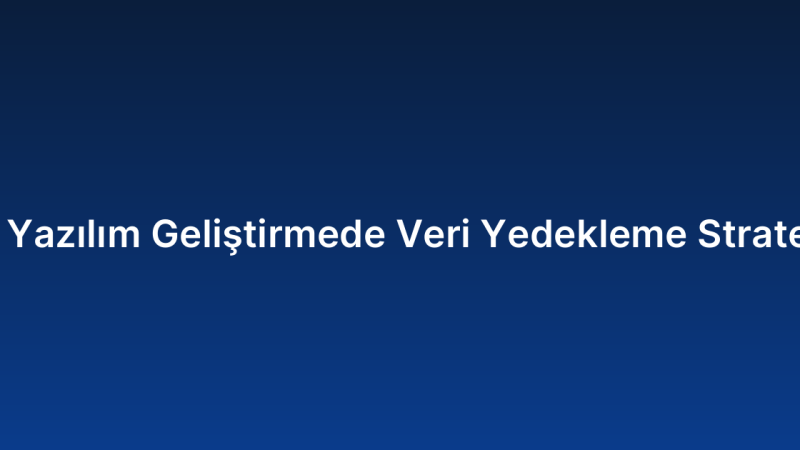 Özel Yazılım Geliştirmede Veri Yedekleme Stratejileri