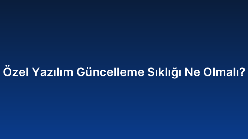 Özel Yazılım Güncelleme Sıklığı Ne Olmalı?