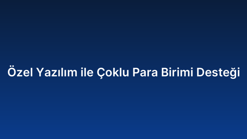 Özel Yazılım ile Çoklu Para Birimi Desteği