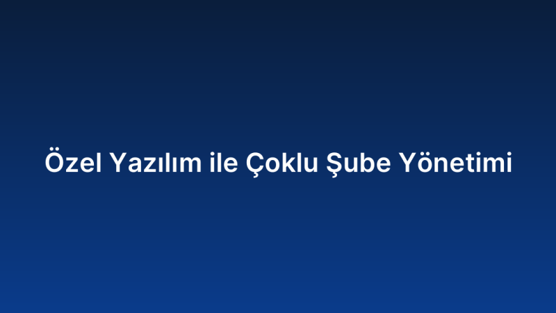 Özel Yazılım ile Çoklu Şube Yönetimi