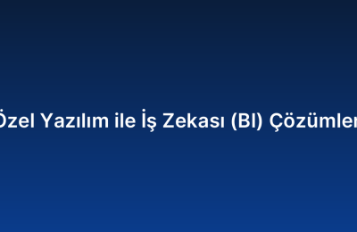 Özel Yazılım ile İş Zekası (BI) Çözümleri