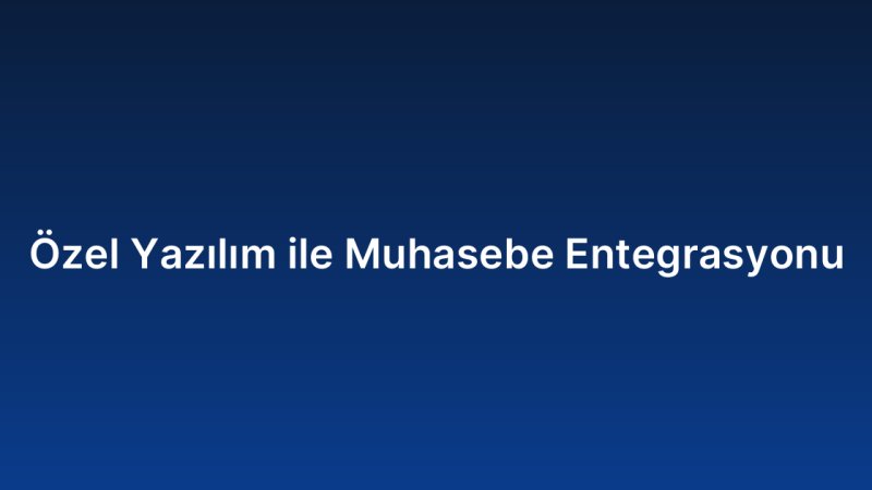 Özel Yazılım ile Muhasebe Entegrasyonu