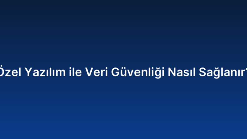 Özel Yazılım ile Veri Güvenliği Nasıl Sağlanır?