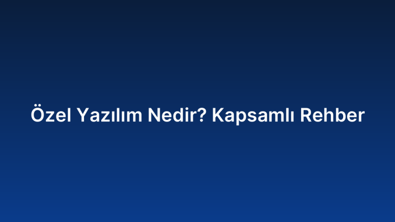 Özel Yazılım Nedir? Kapsamlı Rehber