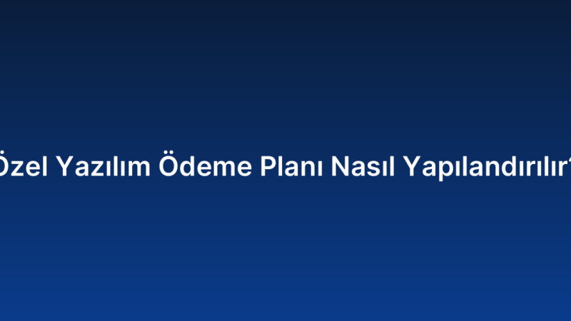 Özel Yazılım Ödeme Planı Nasıl Yapılandırılır?