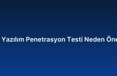 Özel Yazılım Penetrasyon Testi Neden Önemli?