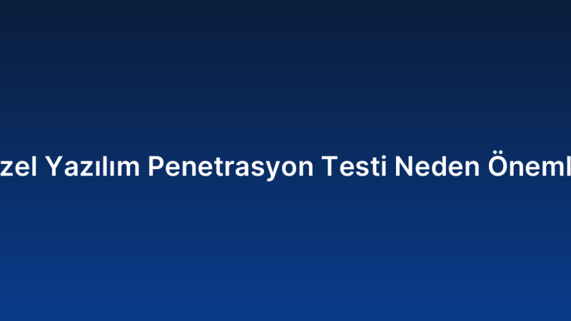 Özel Yazılım Penetrasyon Testi Neden Önemli?