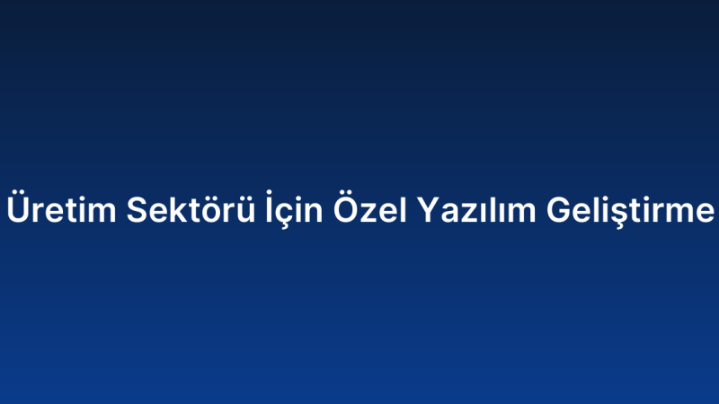 Üretim Sektörü İçin Özel Yazılım Geliştirme
