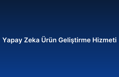 Yapay Zeka Ürün Geliştirme Hizmeti
