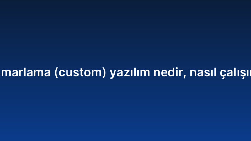 Ismarlama (custom) yazılım nedir, nasıl çalışır?